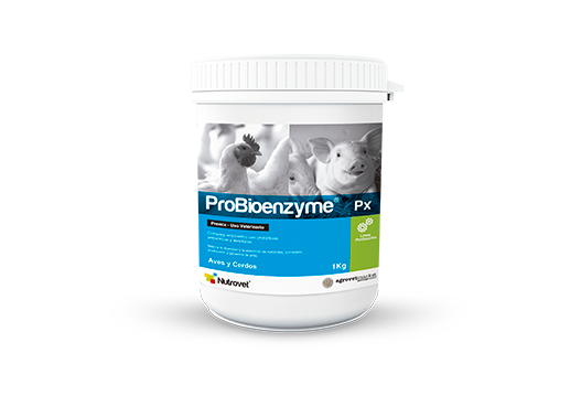 Probionzyme Px 100 Gramos