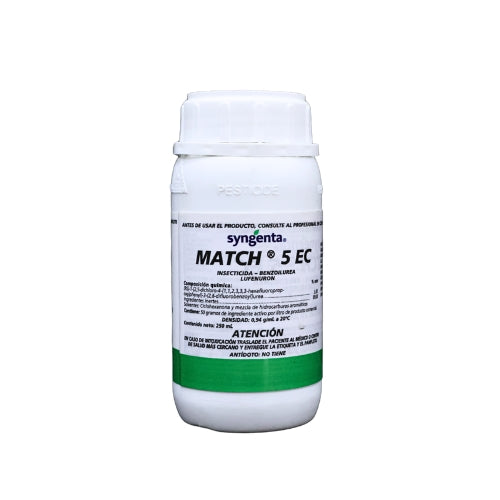 Match 5 E.C. 250 CC