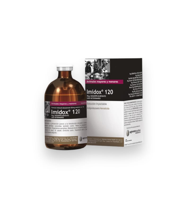 Imidox 120 - 20ML