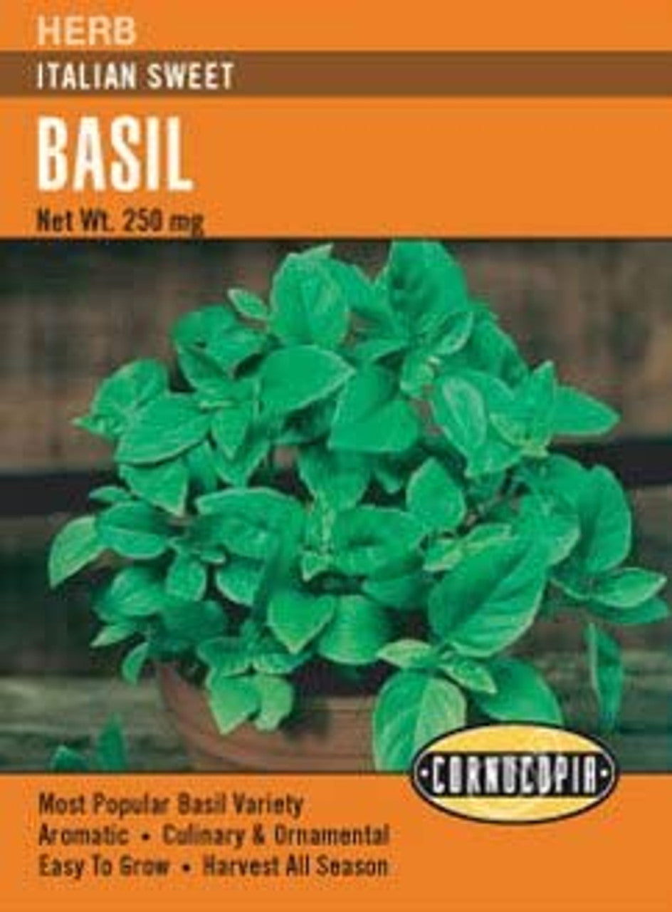 Albahaca Italian Sweet