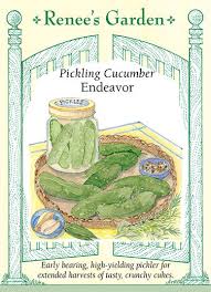 Cucumber Endeavor Pickling
