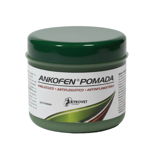 Ankofen Pomada 60G