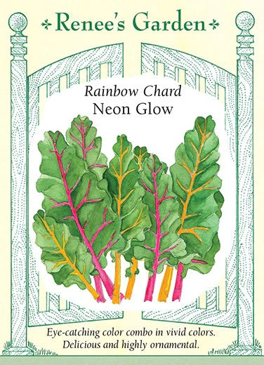 Chard Neon Glow Mix