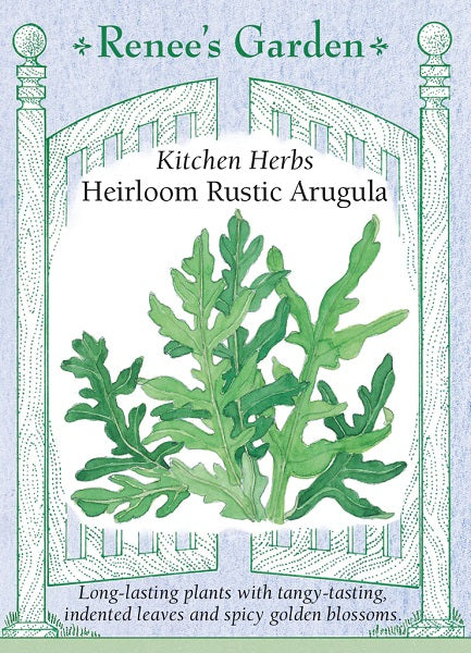 Arugula Rustica