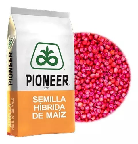 Semilla de Maiz Hibrido Rojo 83 Pioneer 1 libra