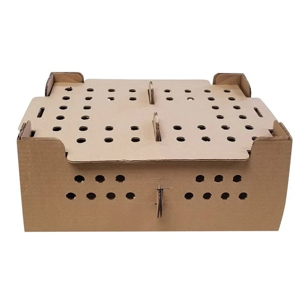 Caja de Cartón Para Pollitos