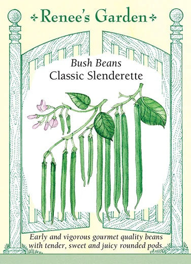 Bean Bush Classic Slenderette