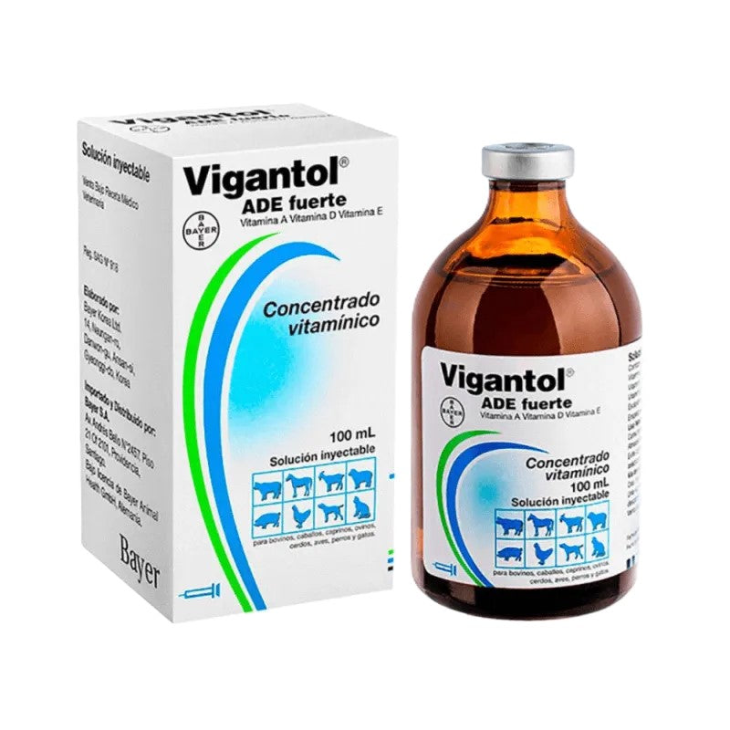 Vigantol ADE FTE 100 Ml