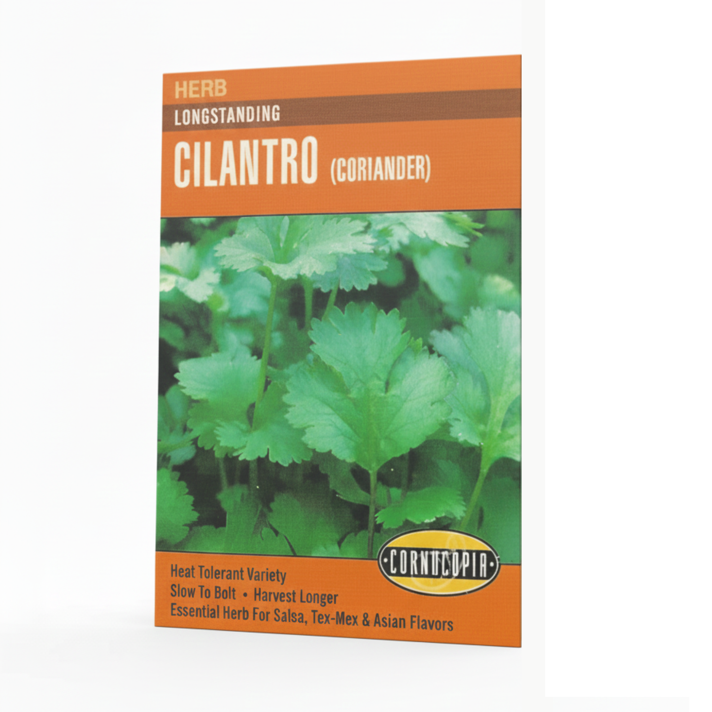 Cilantro Longstanding