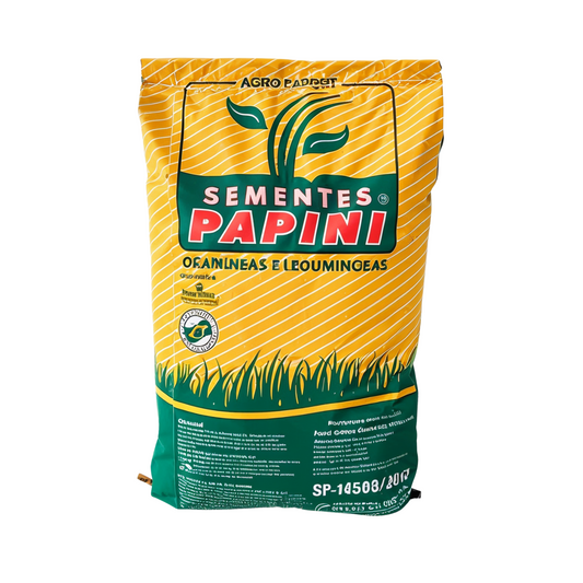 Semilla de Pasto Brizantha 5Kg
