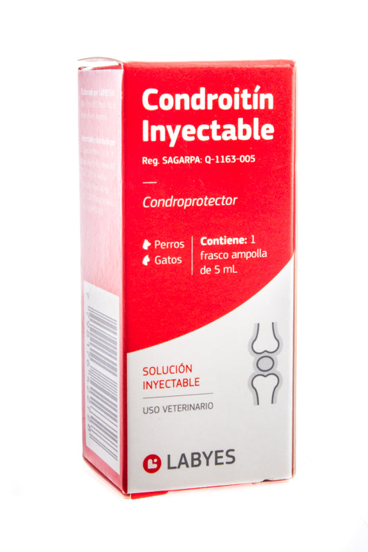 Condroitin Sulfato A 5 Ml Inyectable