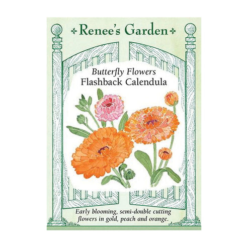 Calendula Flashback – MELO Agropecuario