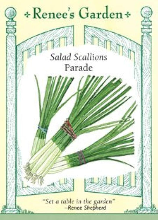 Cebollas Cebollines