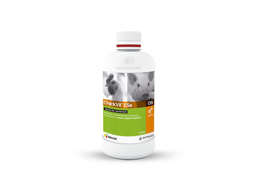 Chick Vit Ese Os  X  30 Ml