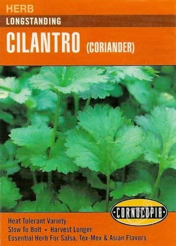 Cilantro Longstanding