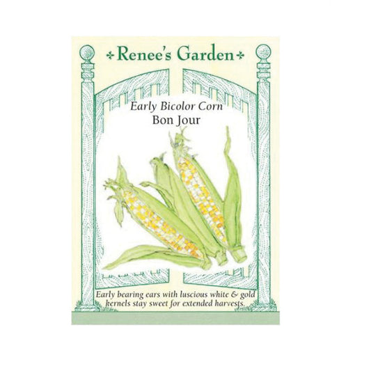 Corn Bon Jour Early Bicolor