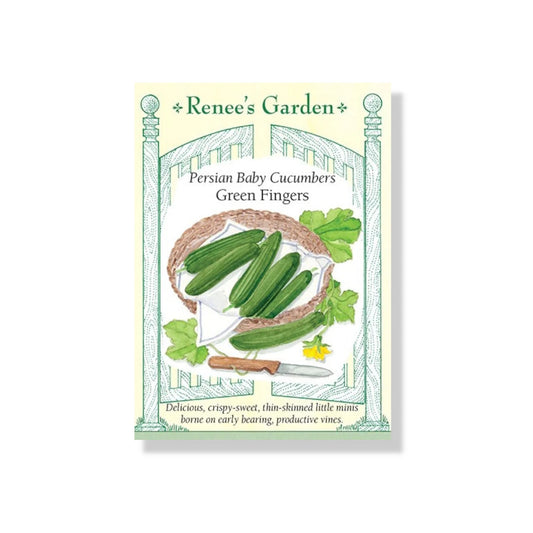 Cucumber Green Fingers Persian