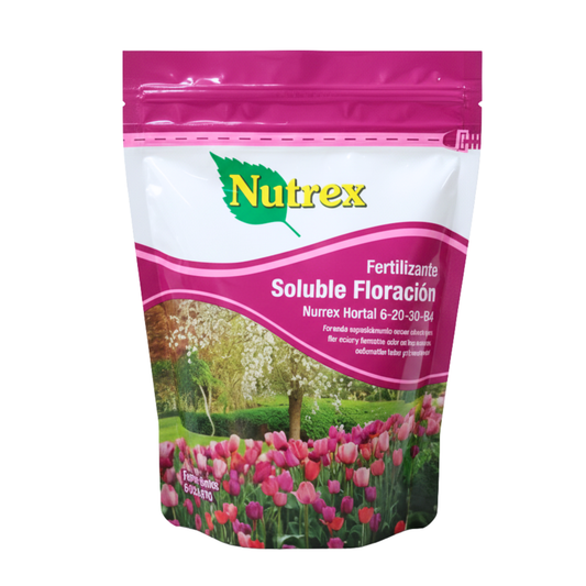 Cultivos – MELO Agropecuario Cultivos – MELO Agropecuario