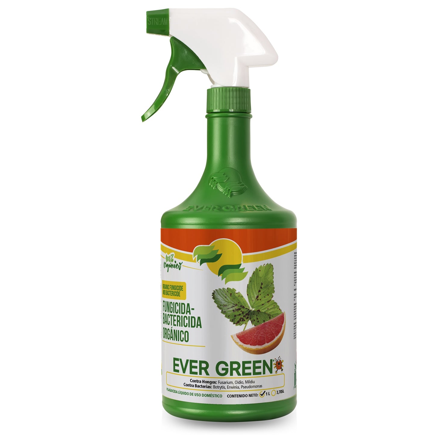 Fungicida Bactericida Organico Ever Green 1lt