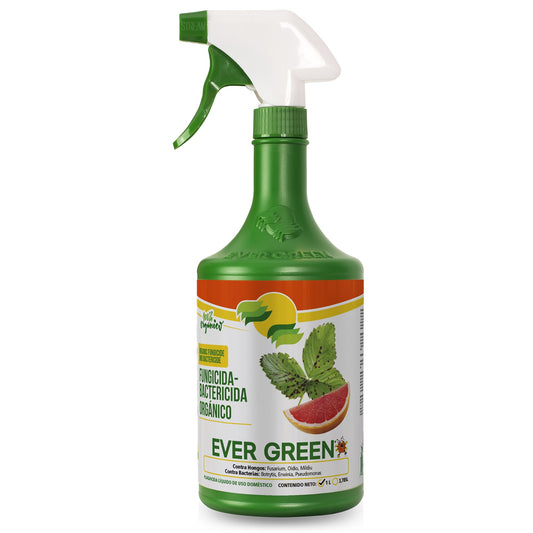 Fungicida Bactericida Organico Ever Green 1lt