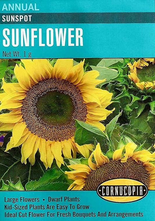 Girasol Sunflower Sunspot