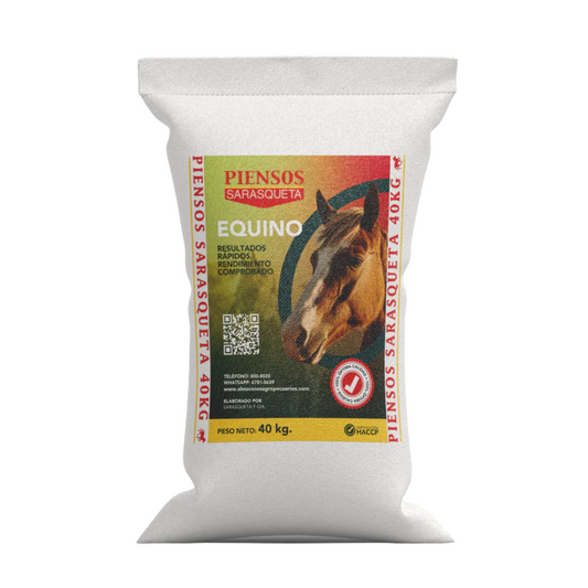 Equino 88 Libras
