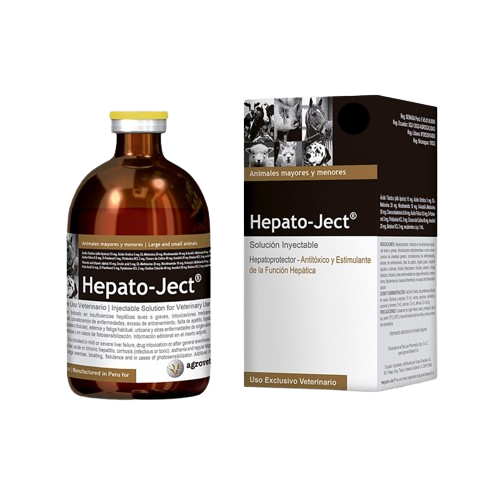 Hepato-Ject 100 Ml