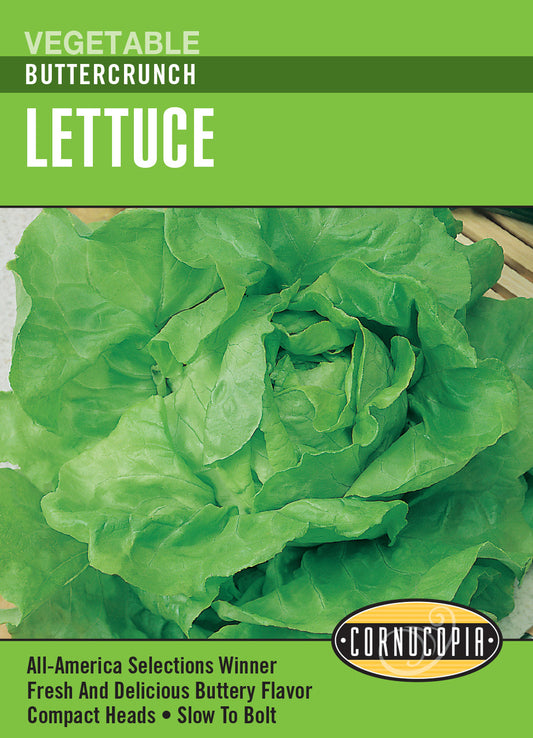 Lechuga Lettuce Buttercrunch