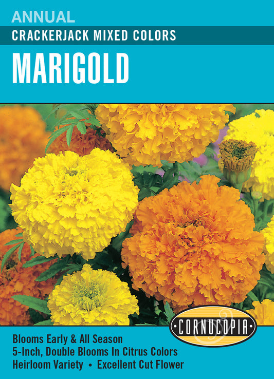 Marigold Crackerjack Mixed Colors