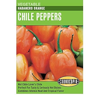 Pimiento Orange Chile