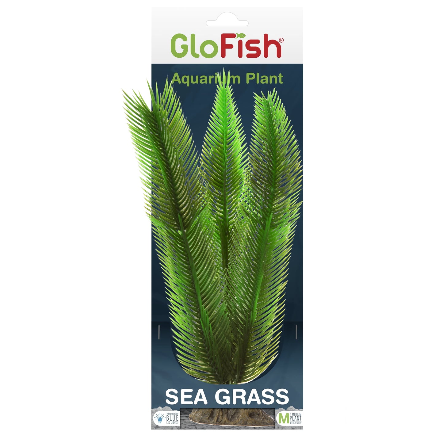 Planta Hierba De Mar-Glofish -M