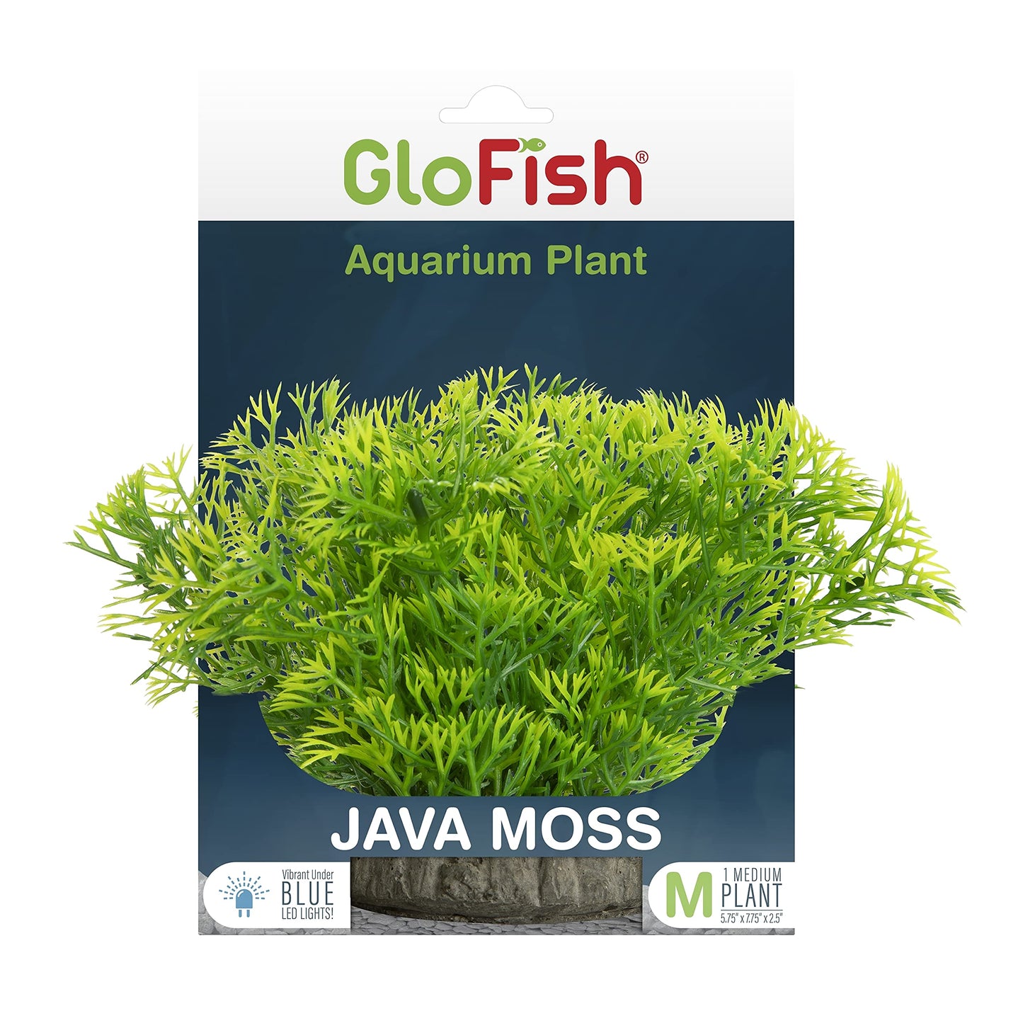 Planta Javamoss-Glofish -S