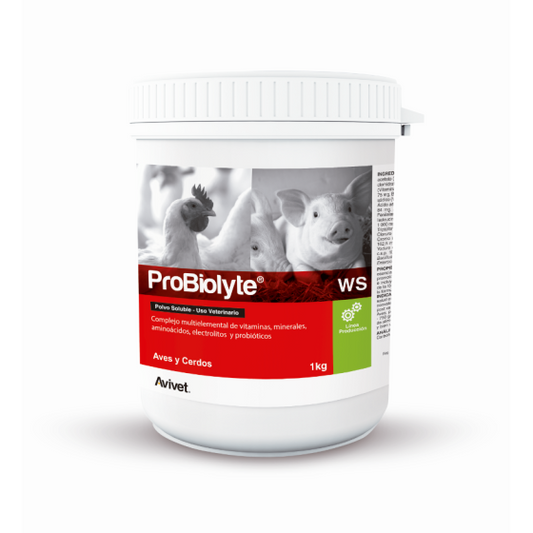 Probyolite   1  Kilo