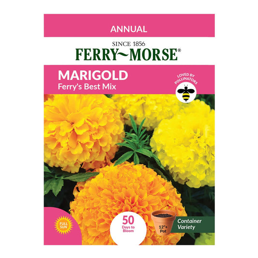 Semilla de Flores Marigold Ferry Mor