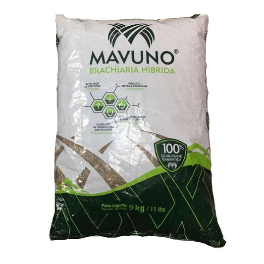 Semilla de Pasto Hibrido Mavuno 5 Kilos