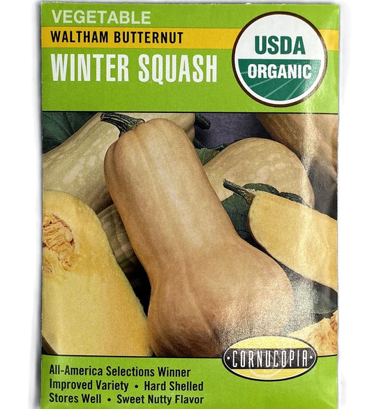 Squash Winter Waltham Butternut