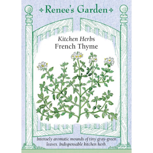 Thyme French