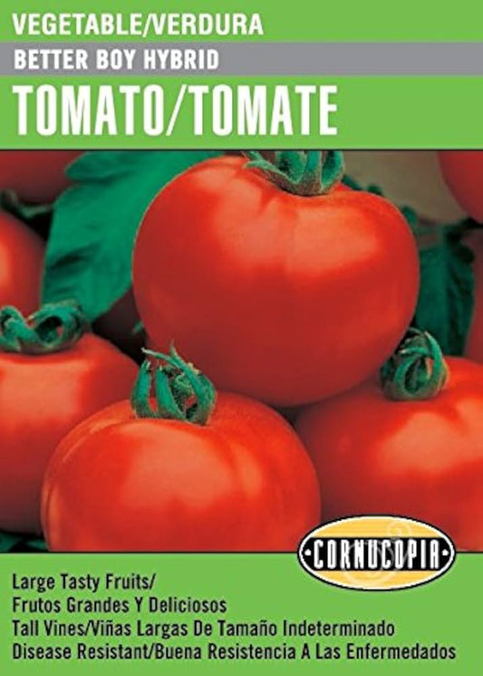 Tomate Boy Hybrid