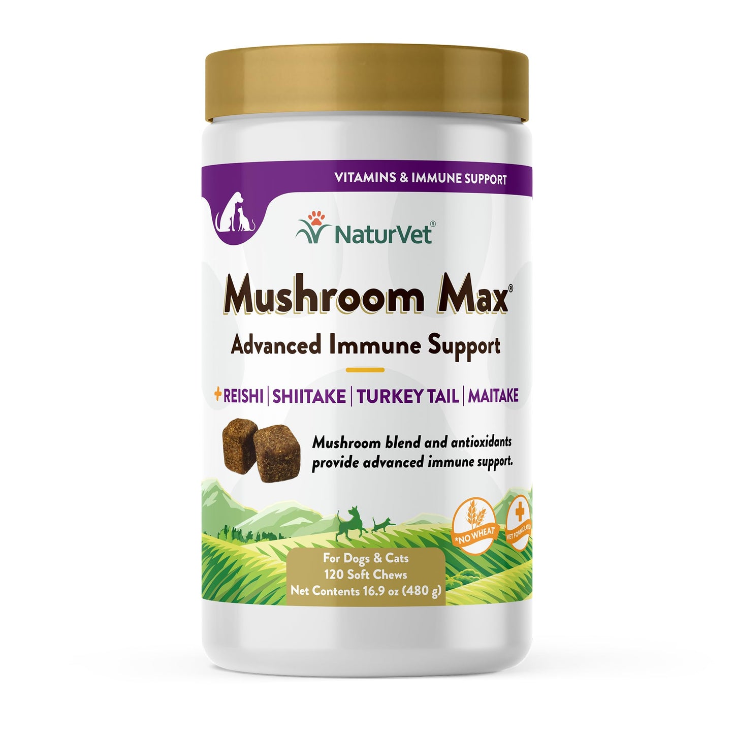 Vitaminas NaturVet Mushroom Max 10 unidades 33257