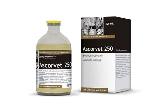 Ascorvet Vitamina C X 100 Ml