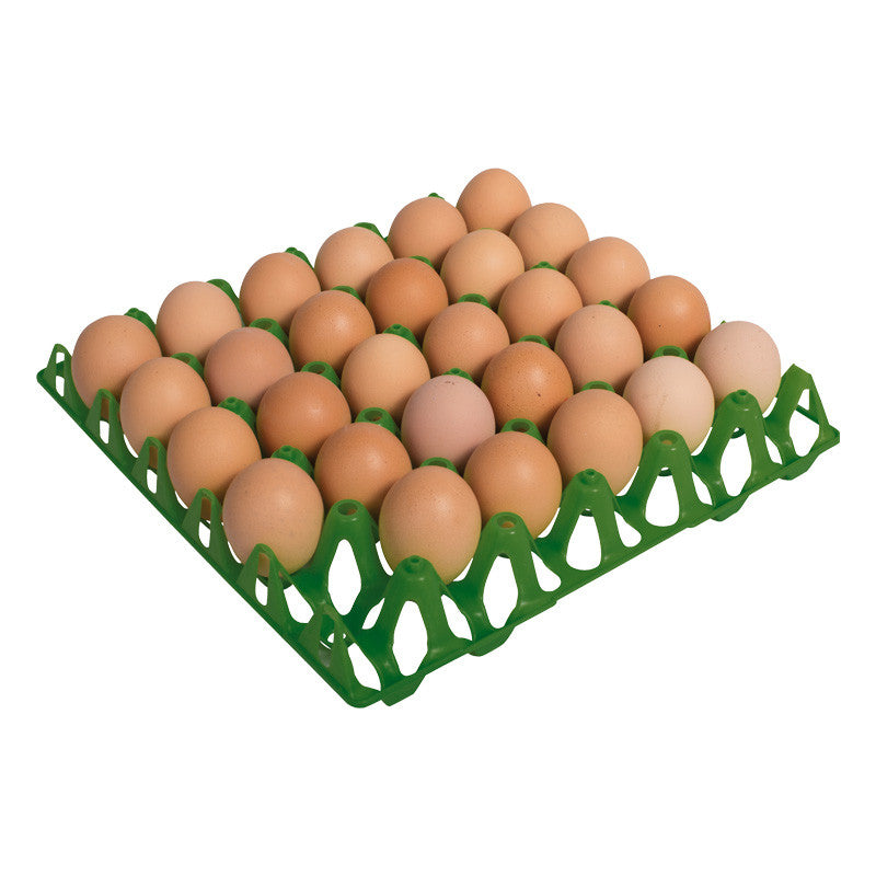 Bandeja Copele de Plástico Para 30 Huevos