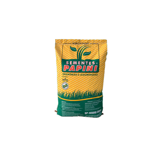 Semilla de Pasto B. Decumbens 5 Kilos