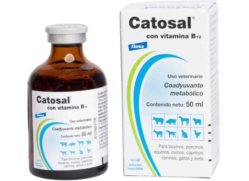 Catosal B12