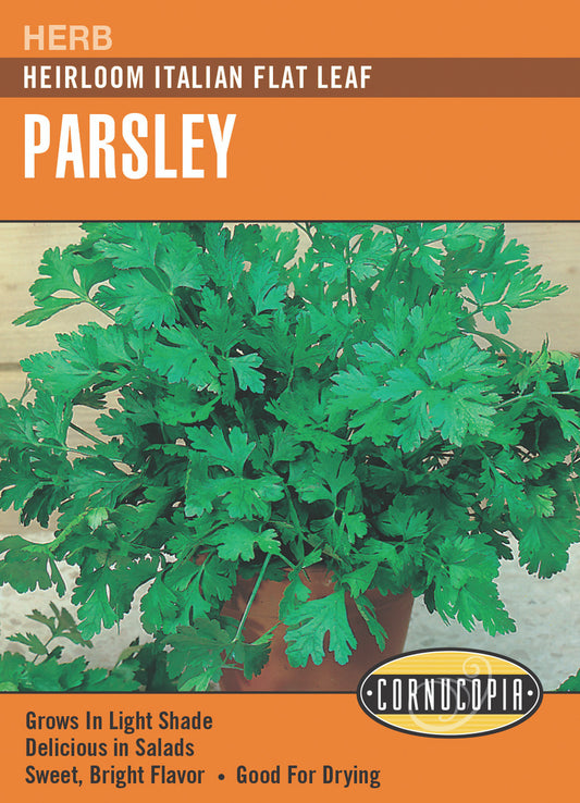 Parsley Italian Flat Leaf