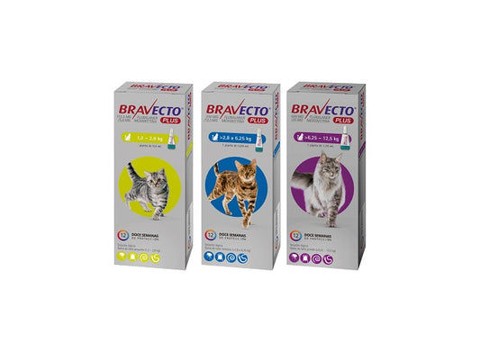 Bravecto Plus Gato