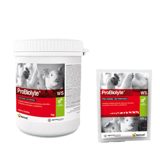 Probiolyte Ws  100G