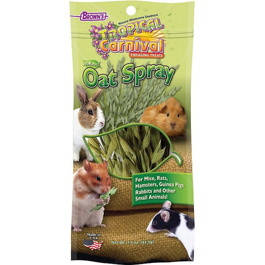 Snack Browns Tropical Carnival Natural Espigas Avena Pequeñas Especies